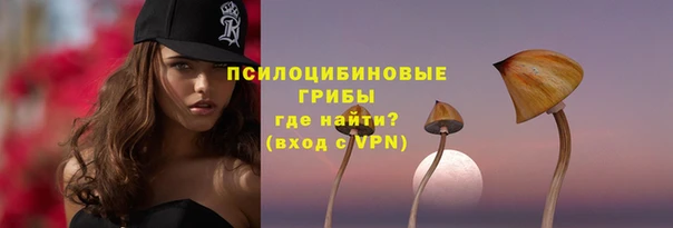 твердый Алексин