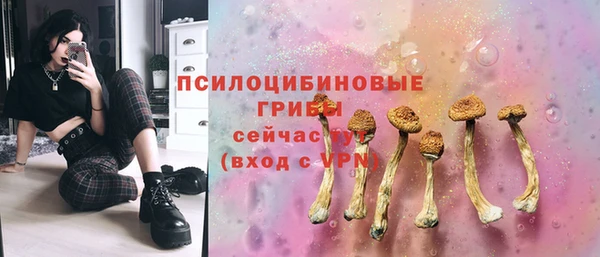 бутират Алексеевка
